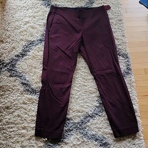 Women's pixie pants- size 8 petite
